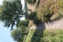 Du lac de Neuweiher au Lac des Perches
